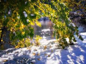 20111030-_A300521-Edit