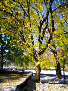 20111030-_A300620-Edit