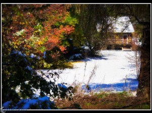 20111030-_A300676-Edit