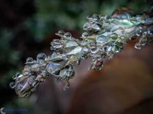 20121208-PC080115-Edit