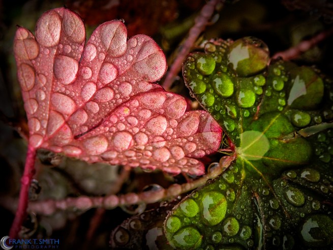 20121208-PC080169-Edit