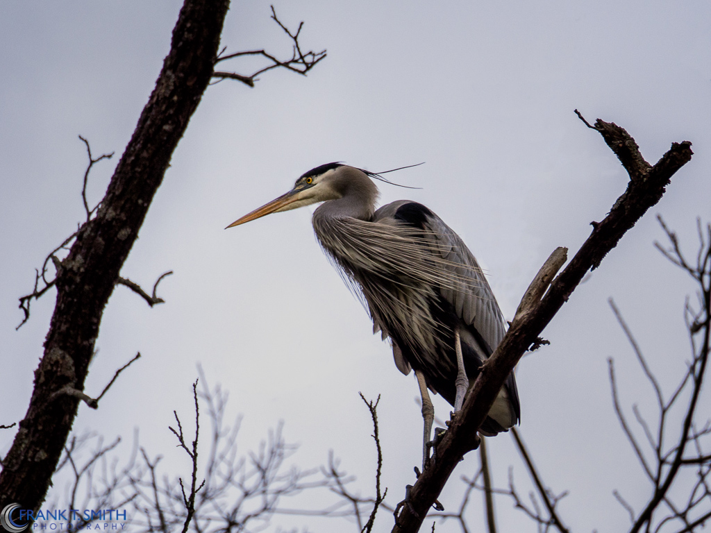 20121222-_C220070-Edit