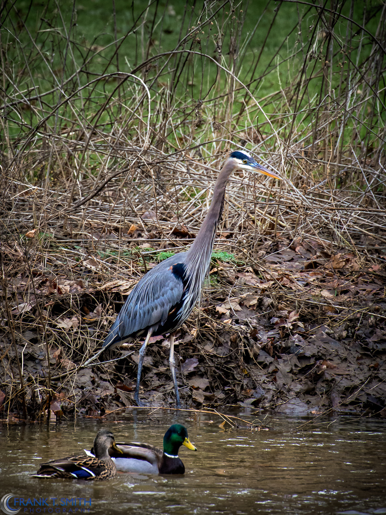 20121222-_C220165-Edit