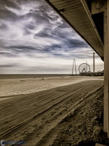 20130202-_2020144-Edit-Edit