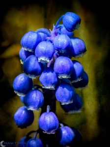 20130407-_4070052-Edit