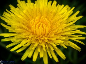 20130518-_5180154-Edit