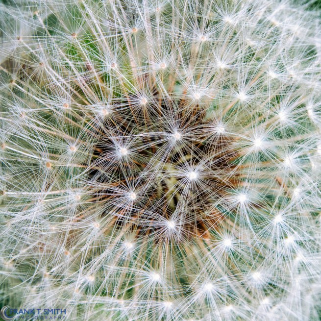 20130518-_5180280-Edit