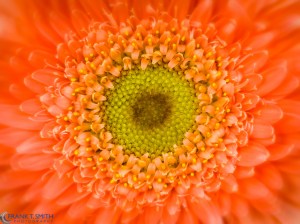 20130608-_6080763-Edit-Edit