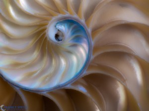 20130608-_6080784-Edit-Edit