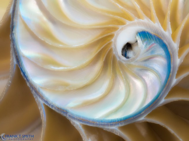 20130608-_6080790-Edit-Edit-Edit-Edit