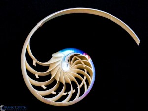 20130608-_6080805-Edit-Edit