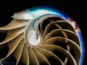 20130608-_6080811-Edit-Edit