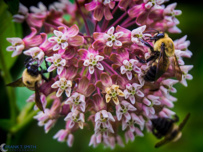 20130704-_7040836-Edit