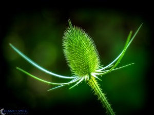 20130704-_7040885-Edit