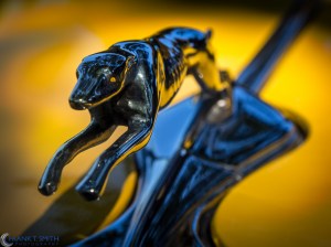 20130824-_8240024-Edit