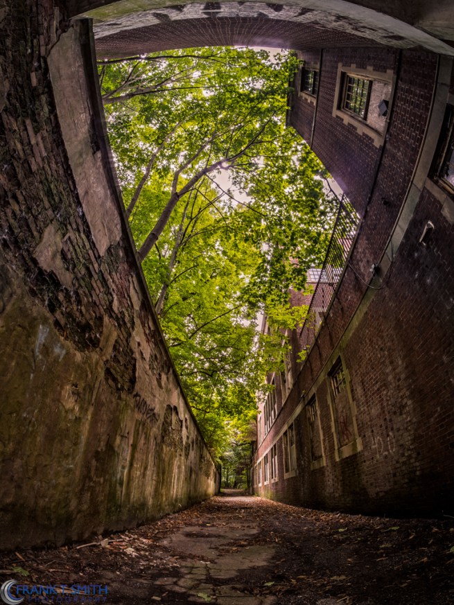 20130818-_8180619-Edit-Edit