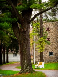 20131109-_B090374-Edit