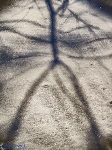 20140104-_1040504-Edit