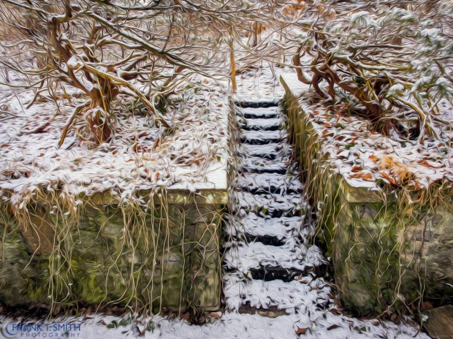 20140118-_1181070-Edit