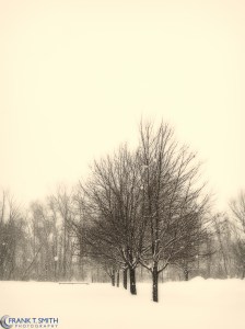 20140215-P2150029-Edit