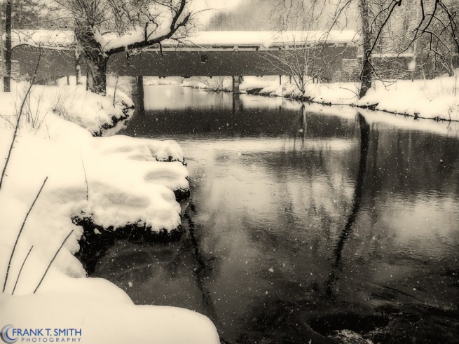 20140215-P2150055-Edit