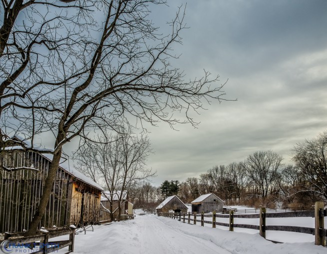 20140216-_2160437-Edit-Edit