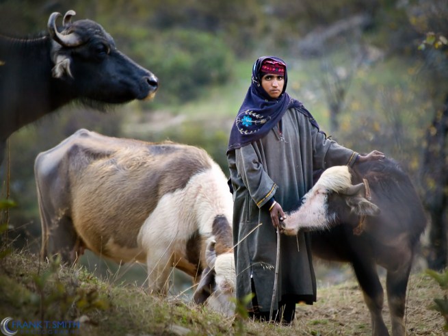 20081018-_A188323-Edit