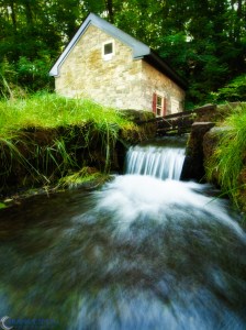 20100619-_6193216-Edit