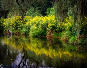 20120908-_9080367-Edit-Edit