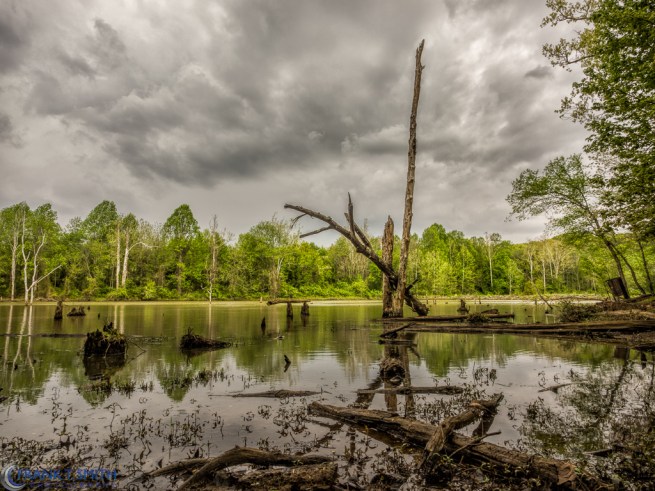 20140510-_5100421-Edit-Edit