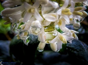 20140704-P7040372-Edit