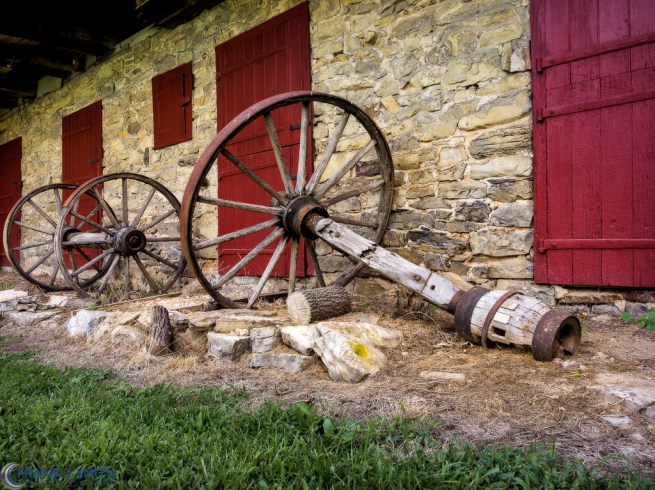 20140816-_8160146-Edit-Edit