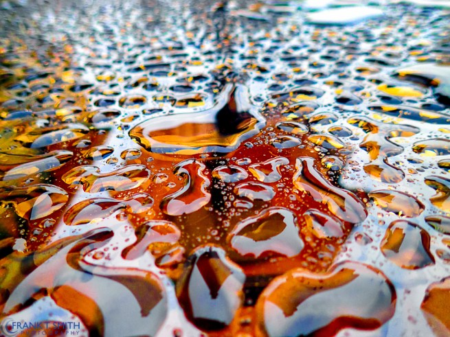 20140913-P9130920-Edit