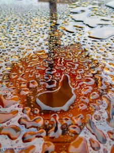 20140913-P9130923-Edit-Edit