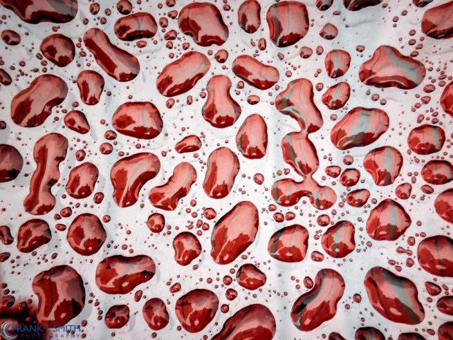 20140913-P9130939-Edit-Edit