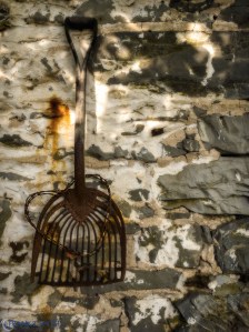 20141004-PA040289-Edit-Edit