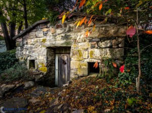 20141004-PA040340-Edit-Edit