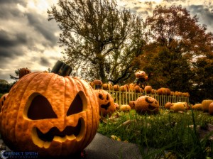 20141018-PA180691-Edit-Edit