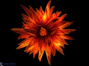 20140906-_9061399-Edit