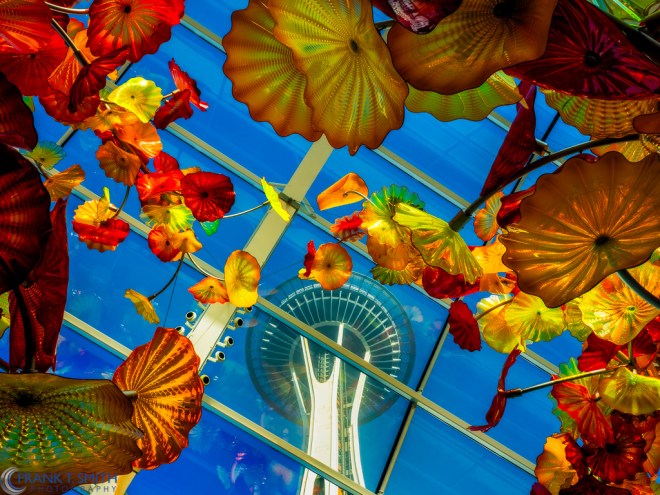 20140906-_9061427-Edit