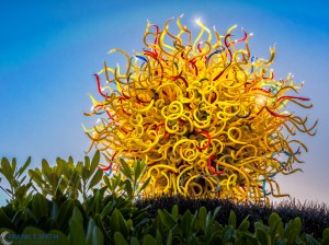 20140906-_9061455-Edit-2