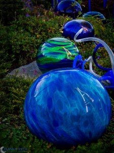 20140906-_9061481-Edit