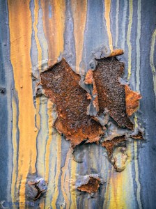 20130528-_5281043-Edit