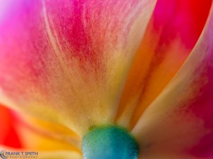 20150502-_5020256-Edit