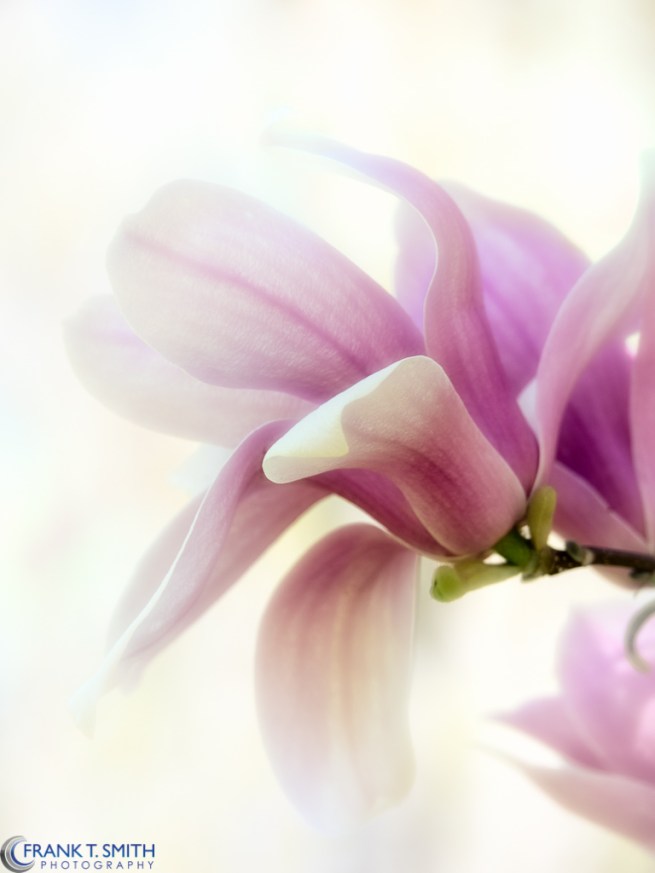 20150502-_5020275-Edit