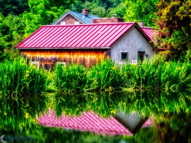 20150612-_6120370-Edit-Edit