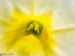 20150620-P6200262-Edit