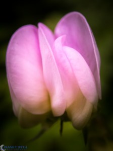 20150627-P6270389-Edit