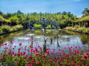 20150716-20150716-_7160159-HDR-Edit