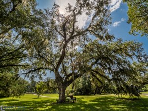 20150716-20150716-_7160384-HDR